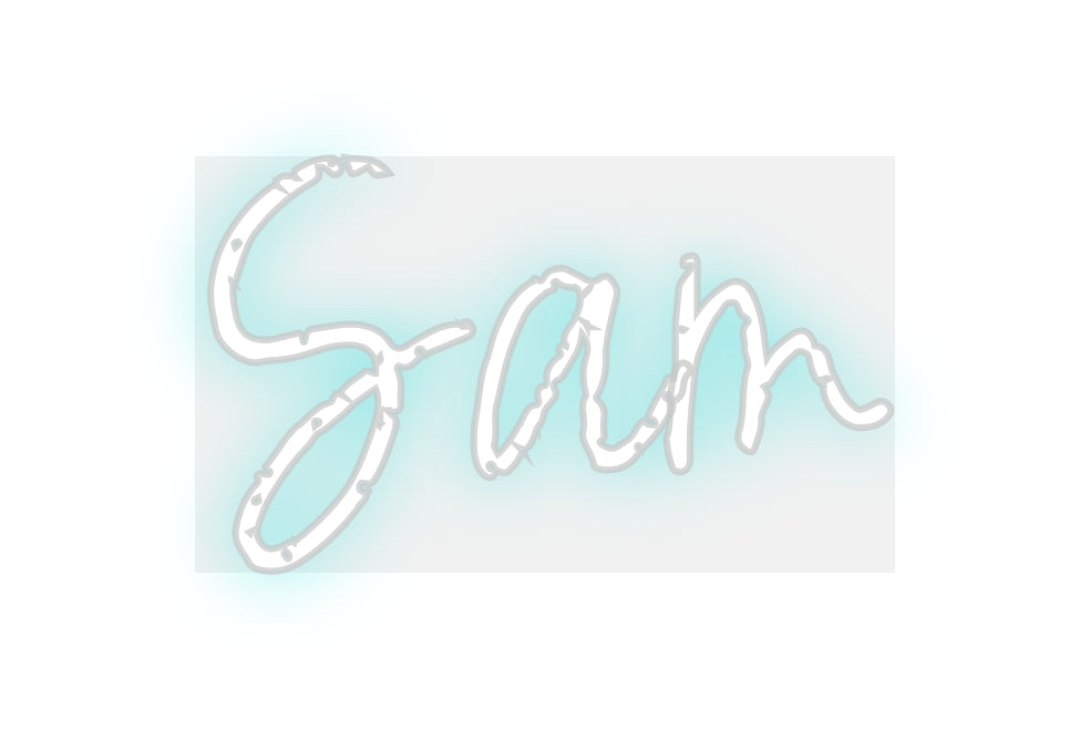 Custom Neon: Sam