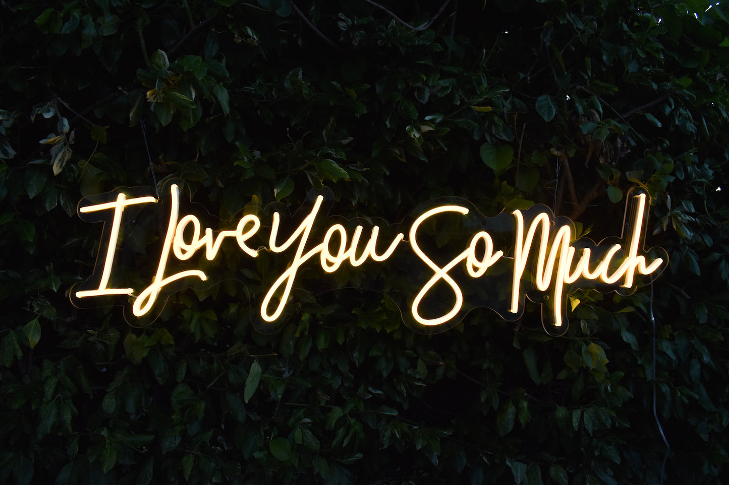 I Love You So Much - Neon Rental