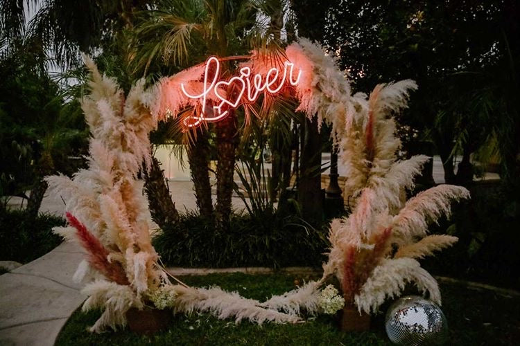 Lover - Neon Rental