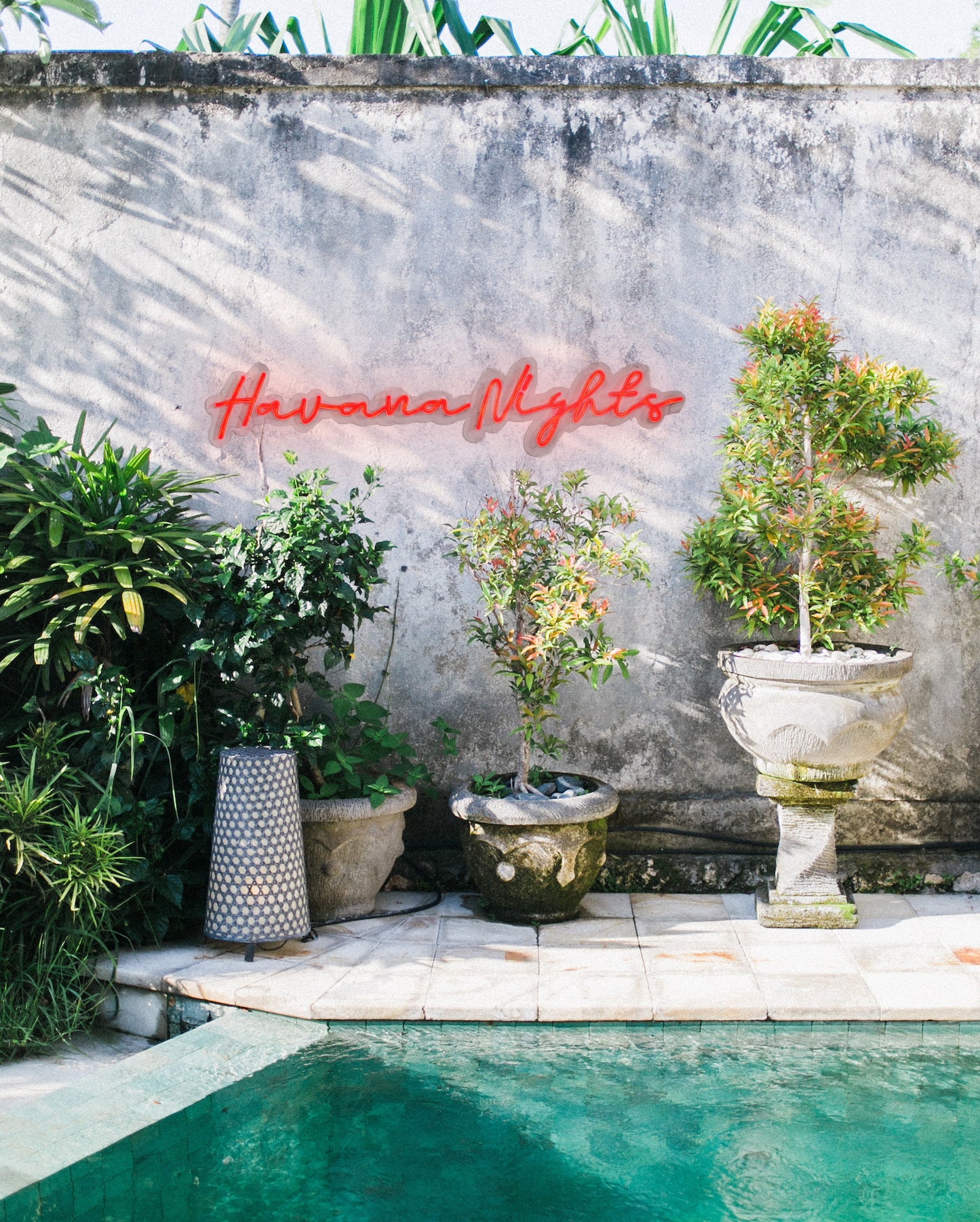 Havana Nights - Neon Rental