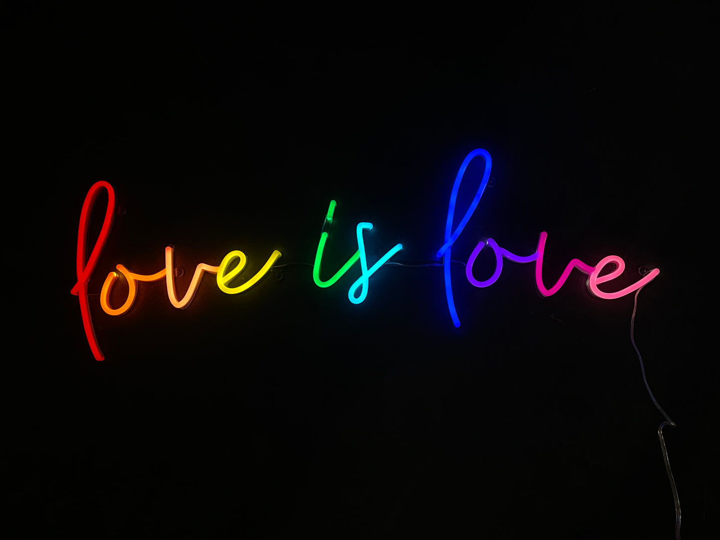 Love is Love - Neon Rental