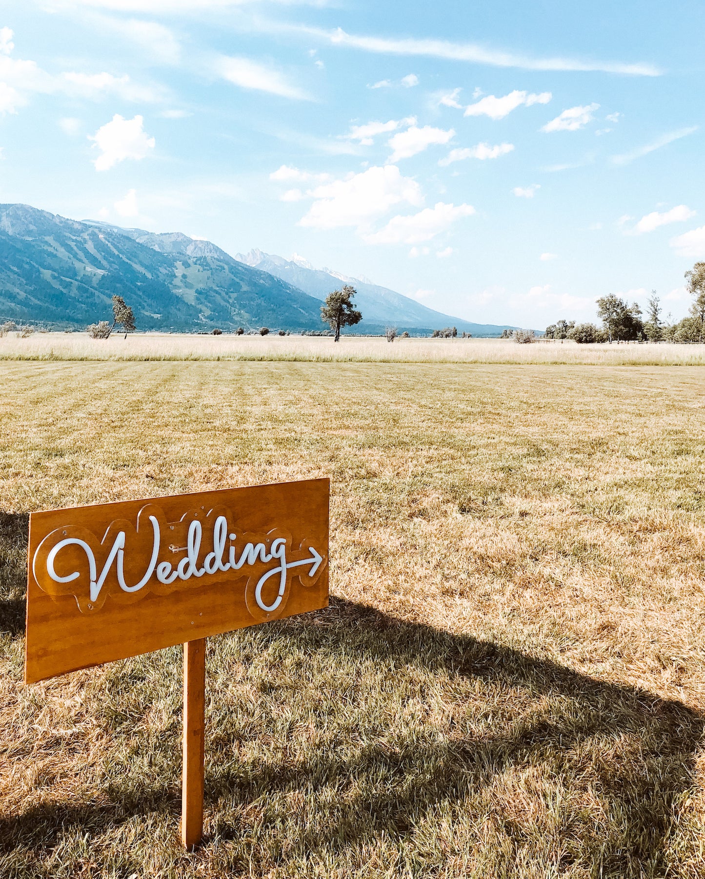 Wedding - Neon Rental