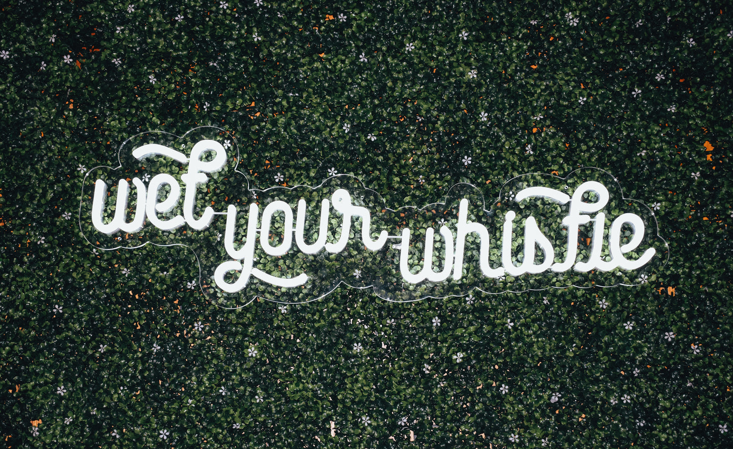 Wet Your Whistle - Neon Rental