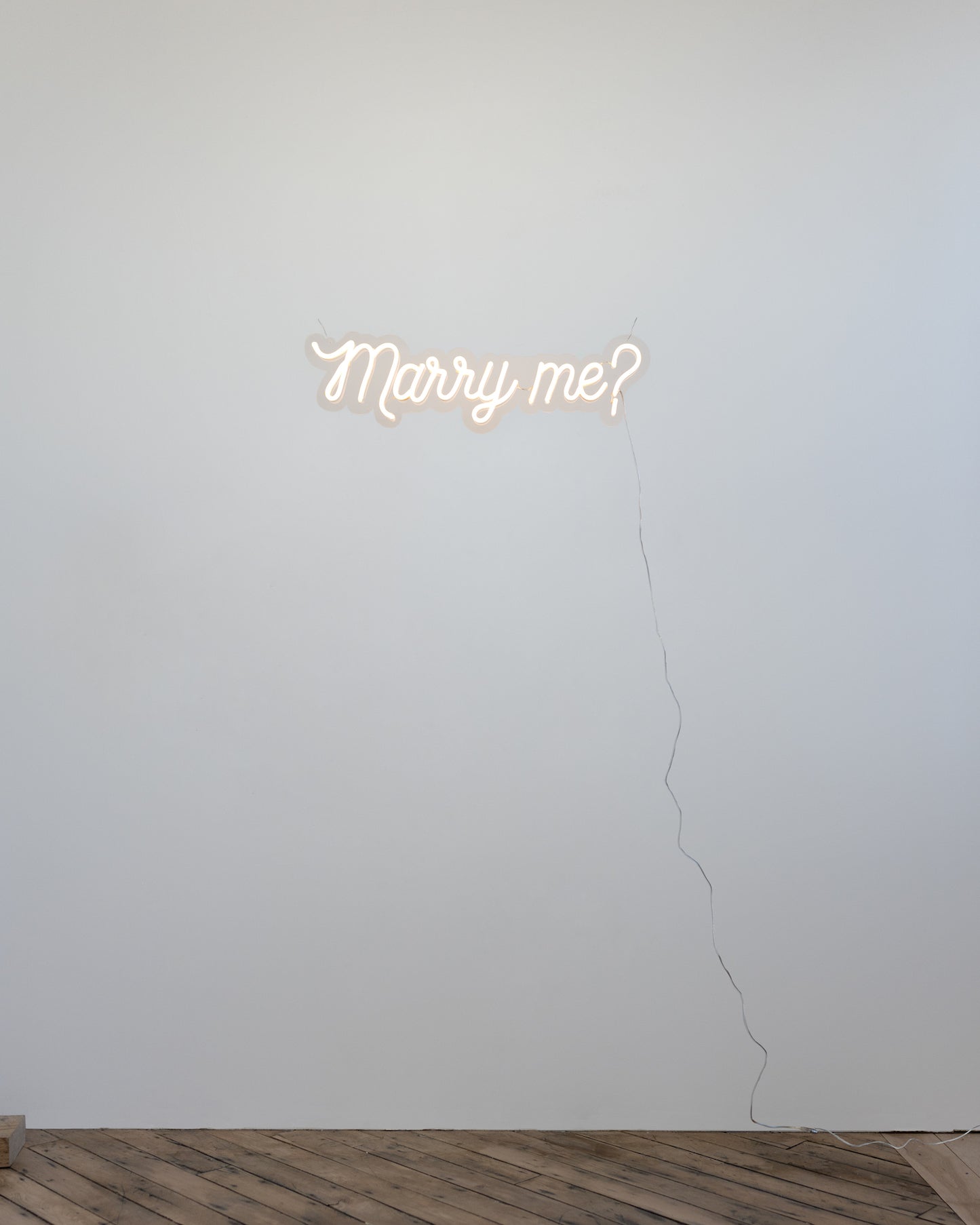 Marry Me? - Neon Rental